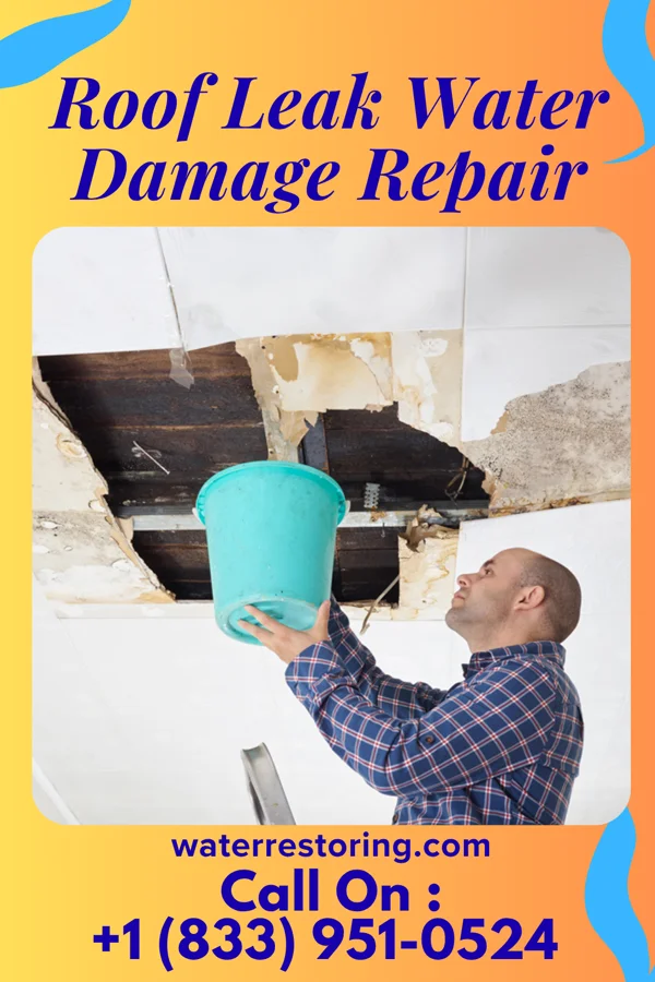 Roof Leak Water Damage Repair in West Lake Hills, TX